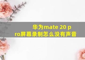 华为mate 20 pro屏幕录制怎么没有声音